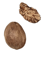 nut